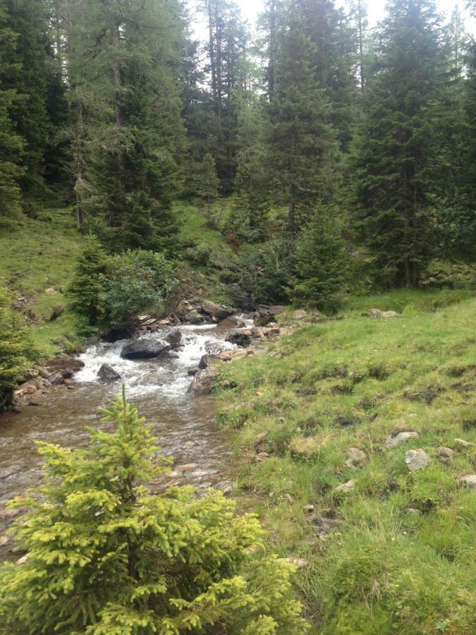 Ferienwohnung Biohof Laussnitzer In Rennweg رنفخ المظهر الخارجي الصورة